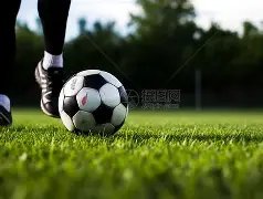 卢艺林在,奠基人杯领,先高真荣,雪缘园足球比分网,足球赛事数据,足球比赛平台,足球赛事资讯,足球赛事中心