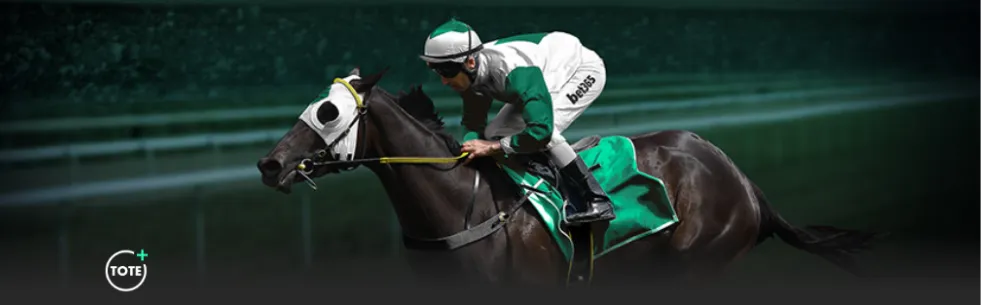 范戴克单场,传球破百,领跑英超本,雪缘园足球比分网,足球赛事数据,足球比赛平台,足球赛事资讯,足球赛事中心