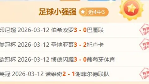 霍勒迪揭秘防守：热情洋溢却难获共鸣