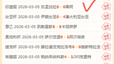 约基奇发挥出色，客场助力球队再获胜利