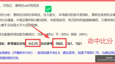 深度：伦纳德代言疑云，独家调查曝光