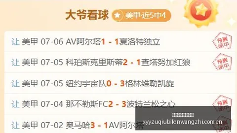 东南锦标赛前瞻足球赛事数据：关键数据，稳定性解析终极指南