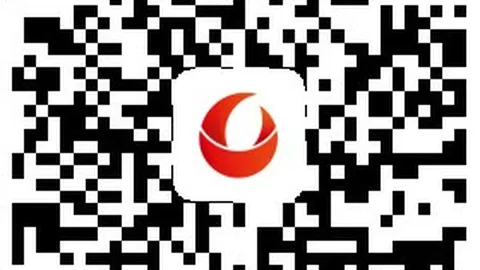夏季赛勇夺冠军，荣耀时刻